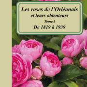 les roses de l orleanais