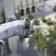 Livre cathedrale d'Orleans Pierre Bossuet