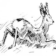 Récits de chasse, de Simone Deschellerins (PRÉCOMMANDE)