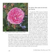 André Eve, une vie en roses