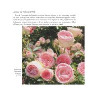 André Eve, une vie en roses