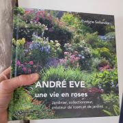andre eve evelyne sallandre